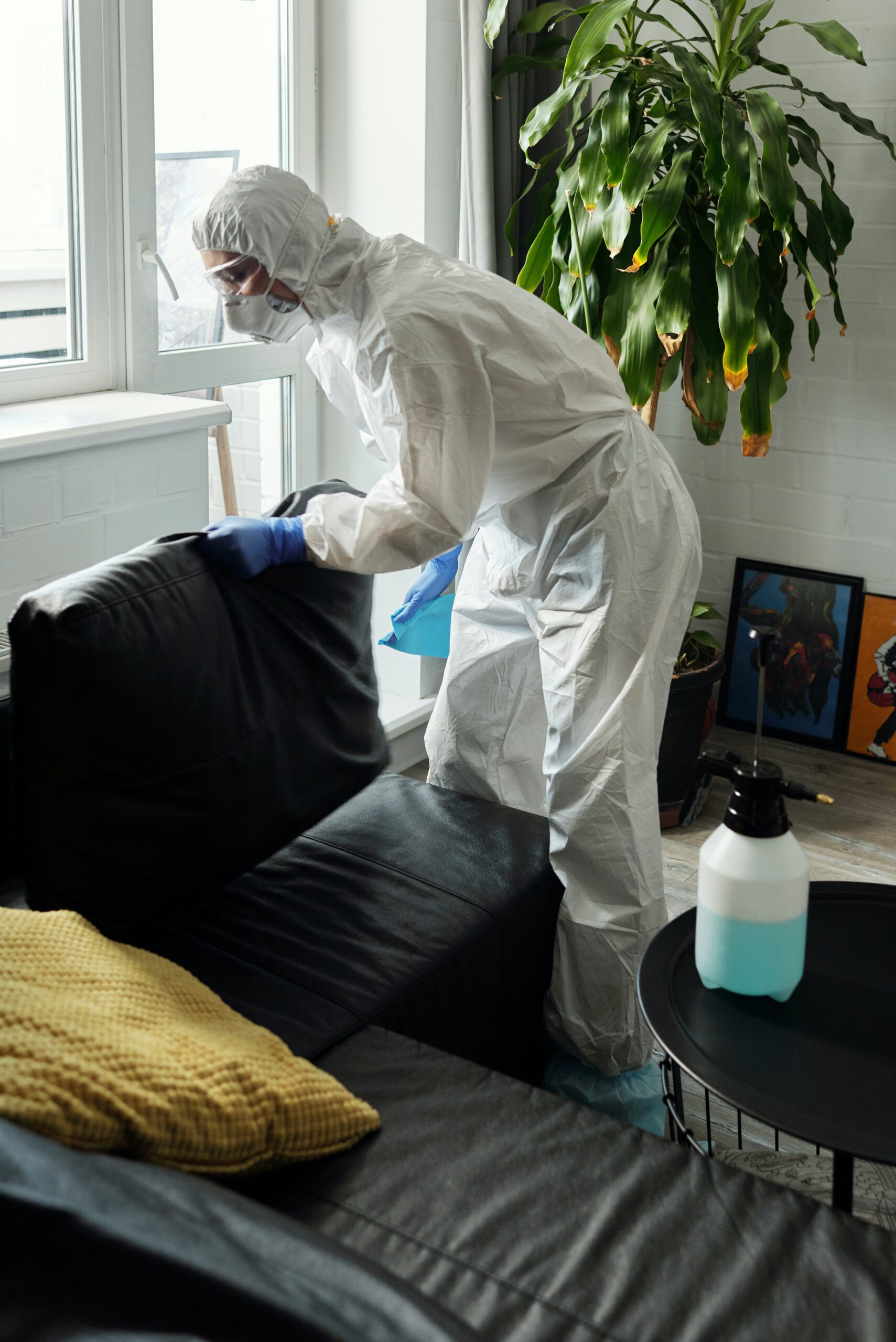 Why is Leather Sofa Dry Cleaning so Important?
