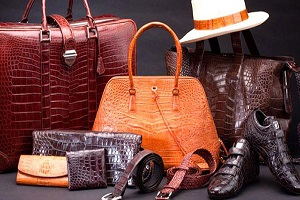 India’s Tryst with Luxury: A Shining Future for High-End Goods and the Rise of Specialized Care