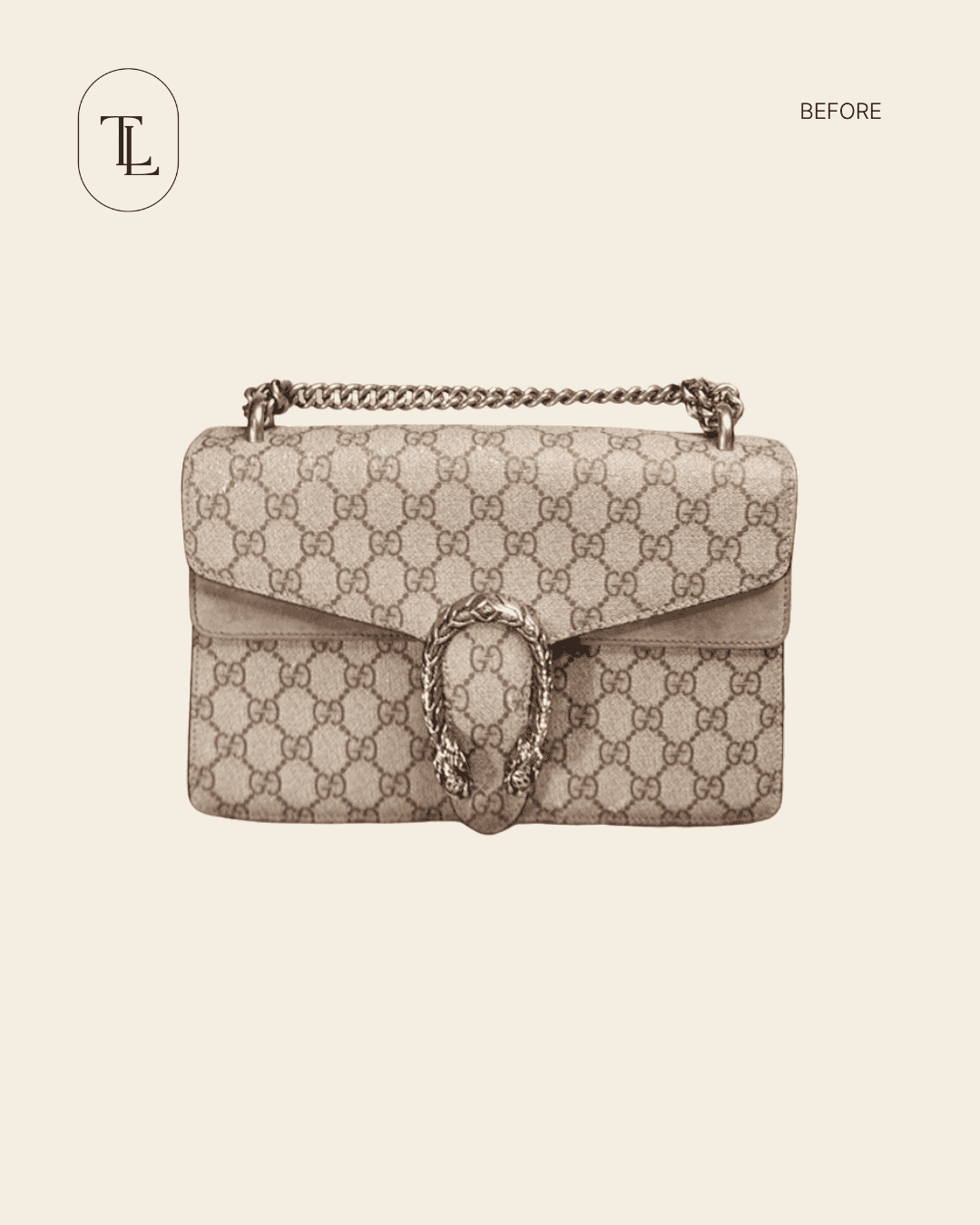 Gucci Mini Dionysus before